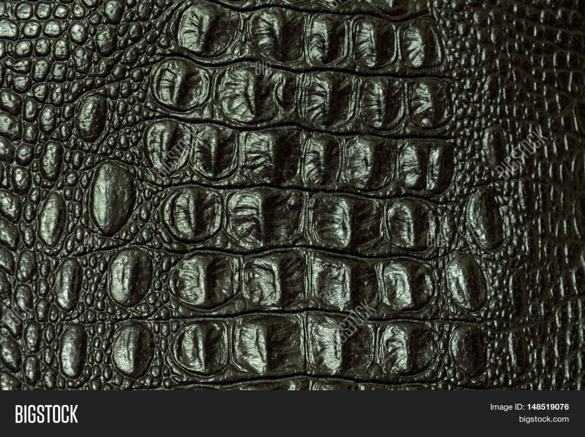 Кожа крокодила вектор