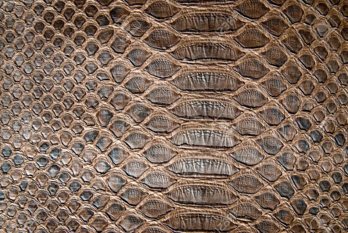 Графическая фактура кожи