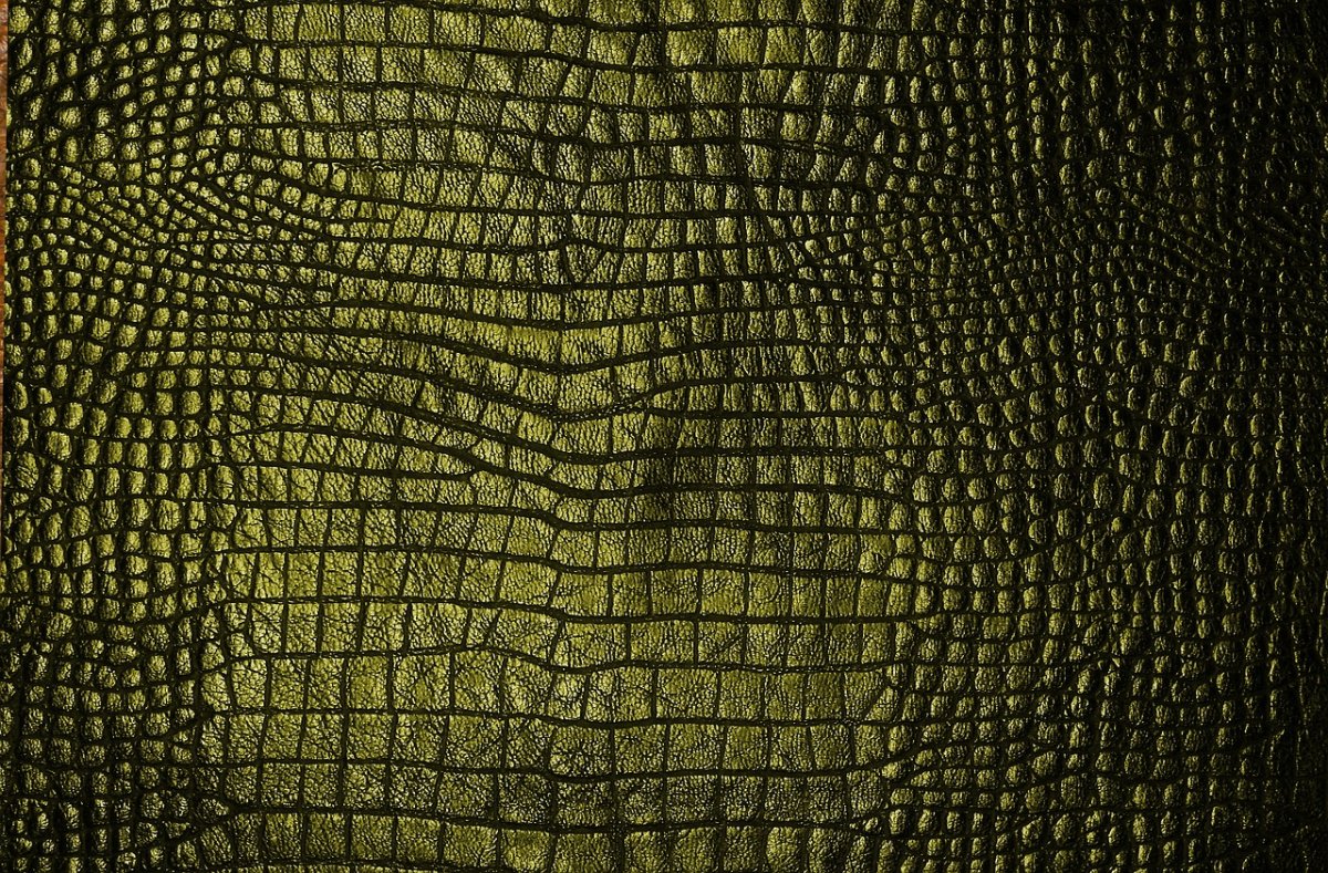 Текстура кожи