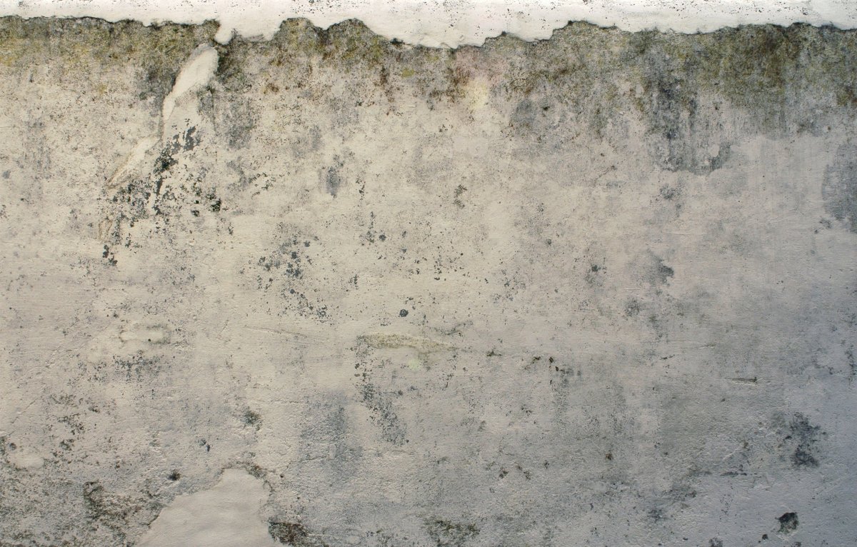 Фактура старой штукатурки