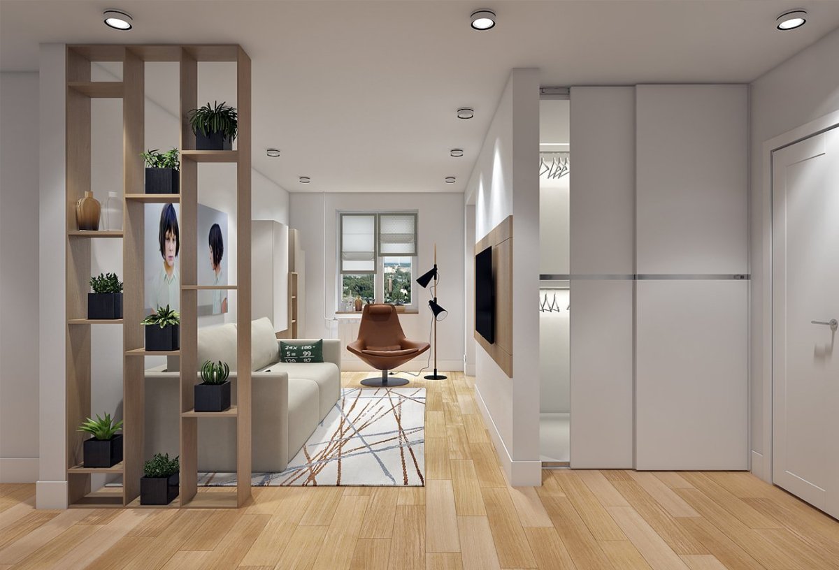 Гостиная Объединенная с прихожей