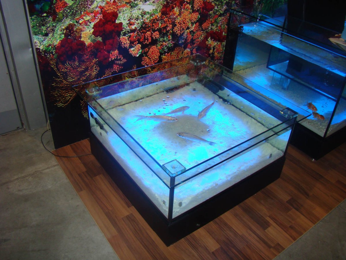 Необычные столики