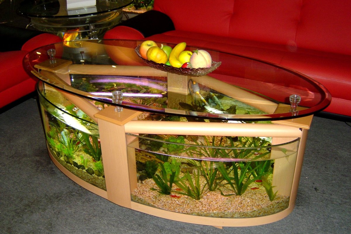 Аквариум на письменном столе