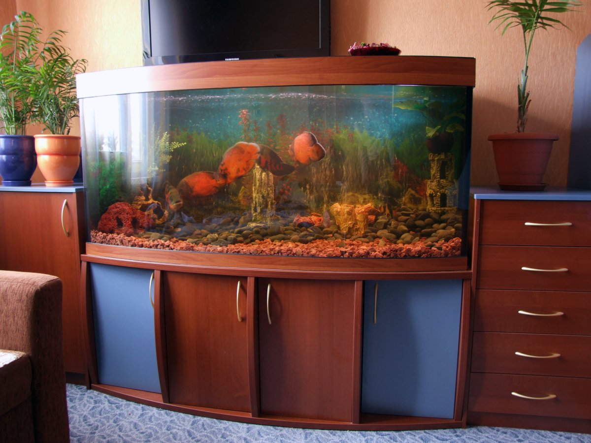 Прикольные аквариумы