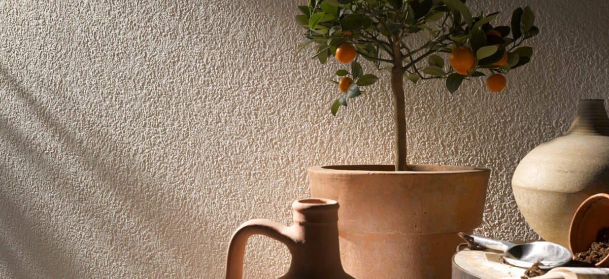 Штукатурка фактурная Vincent Decor decorum rustique