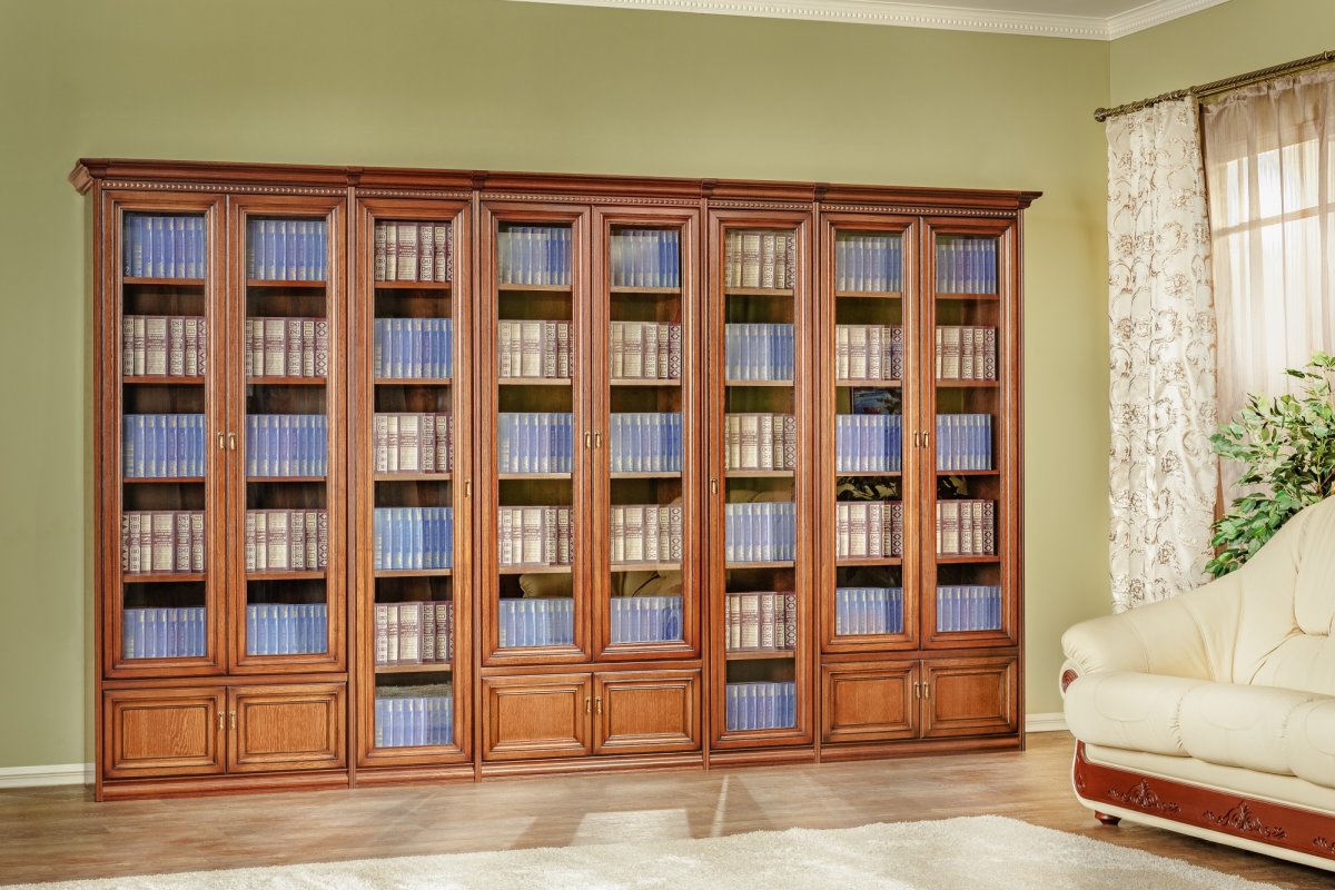 Гостиная с книжными шкафами в современном стиле