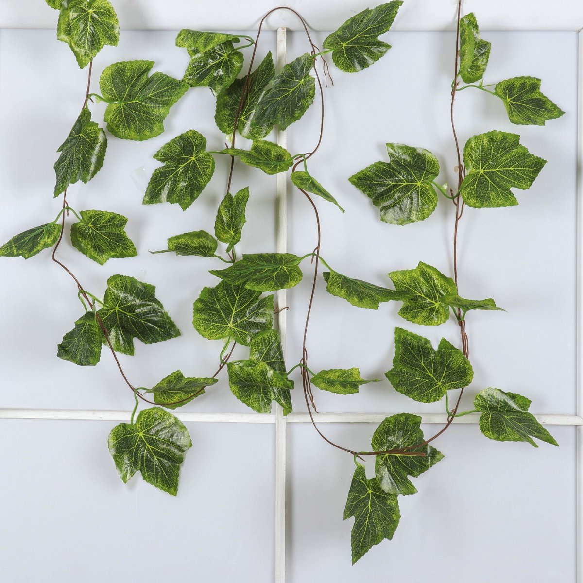 Рипсалис Кокедама