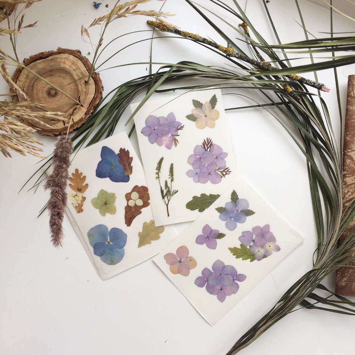 Гербарий из листьев в интерьере