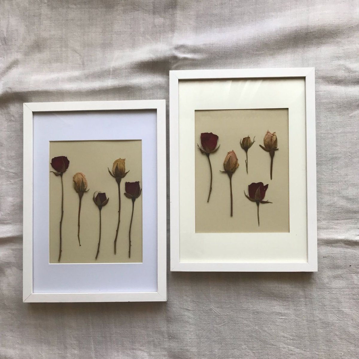 Украшение интерьера гербарием