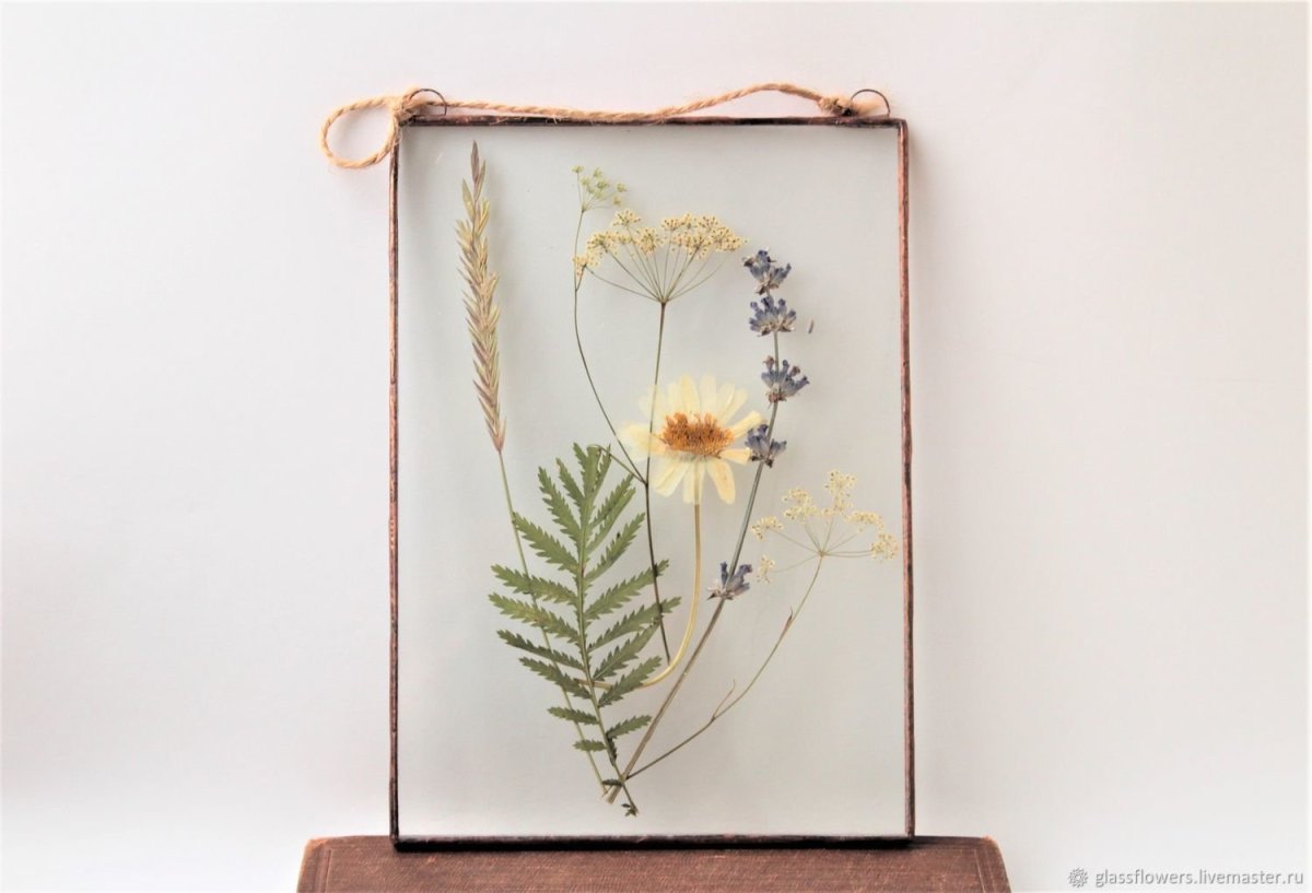 Коллекция Академика Георга Форстера гербарий