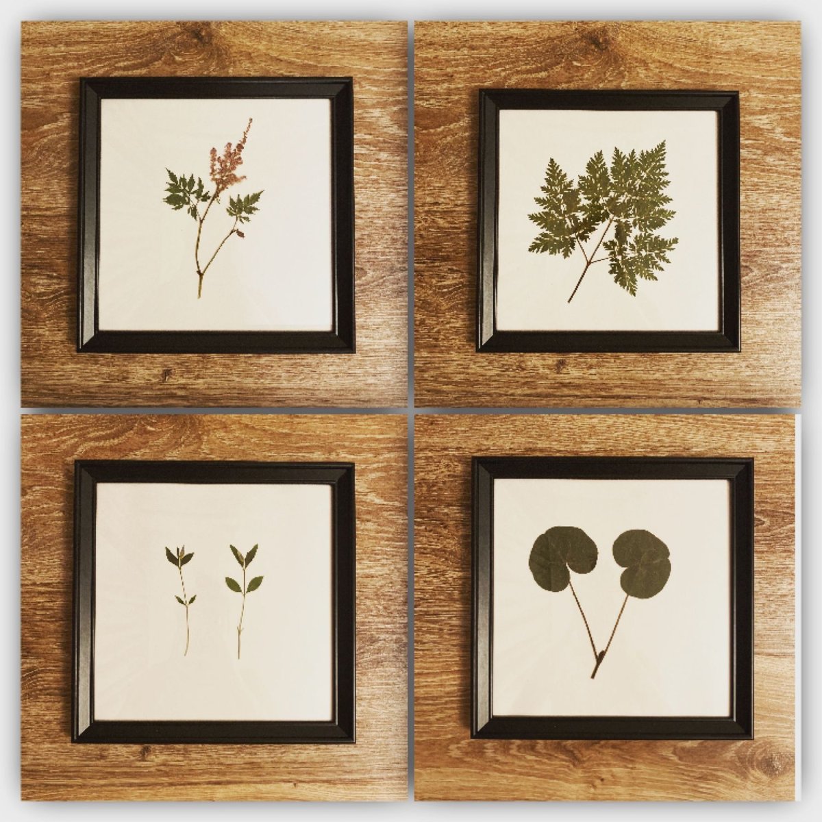 Украшения гербарий Тиффани