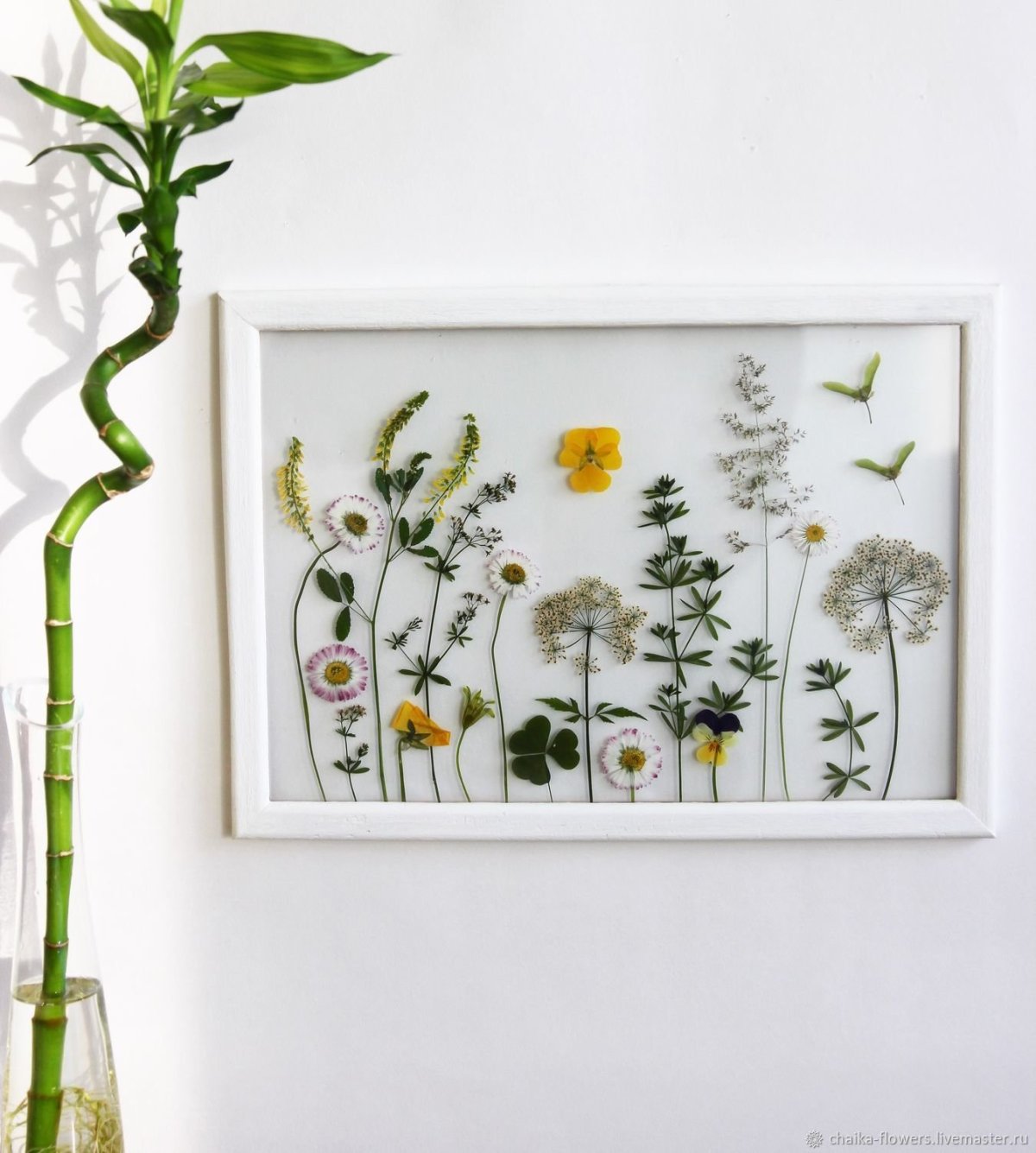 Гербарий в интерьере