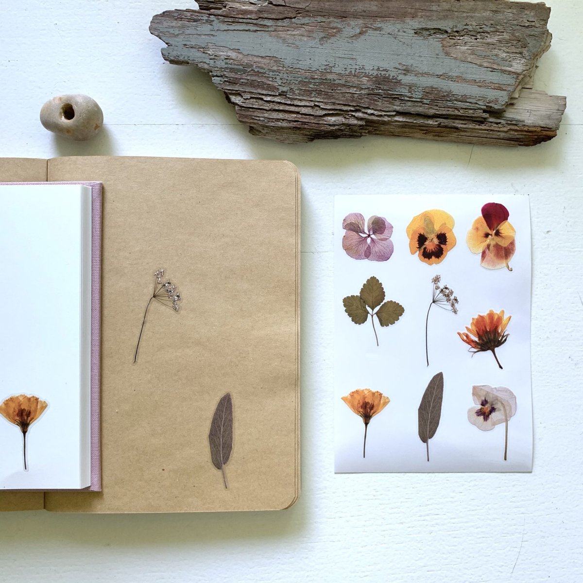 Гербарий в скандинавском интерьере