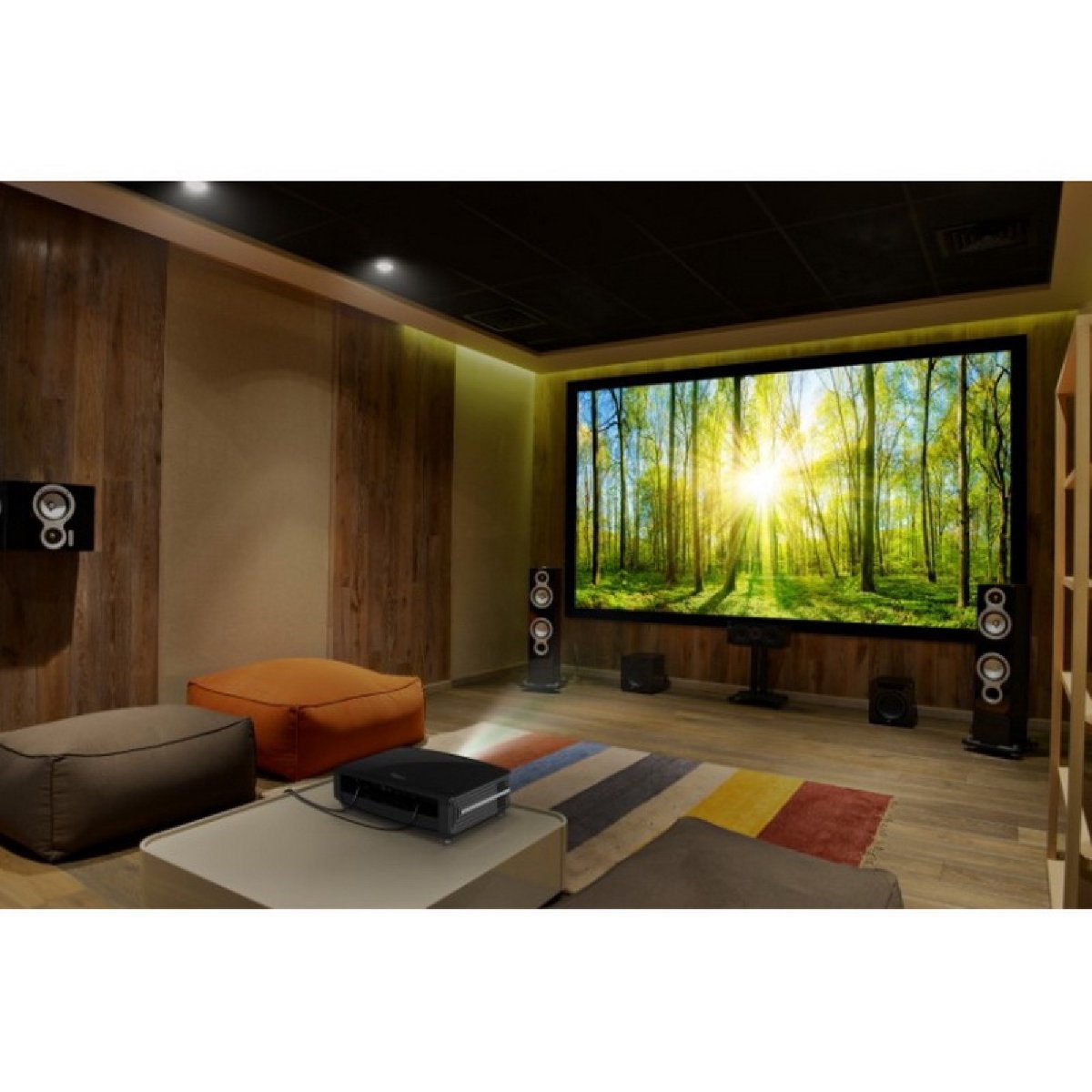 Телевизор 50 и 55 дюймов рядом