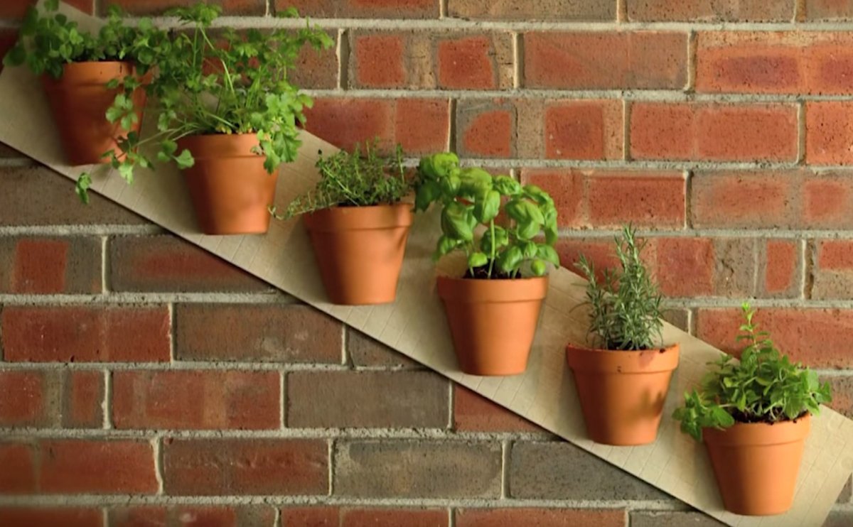 Кашпо на кирпичной стене