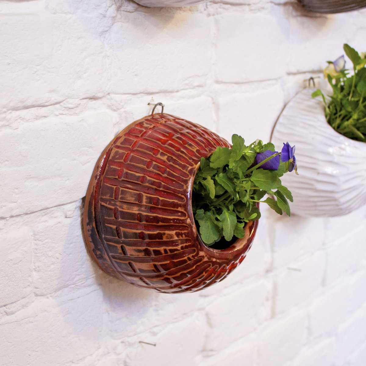 Цветы на стене в горшках