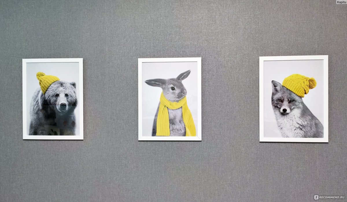 КНОППЭНГ рама с постером 8