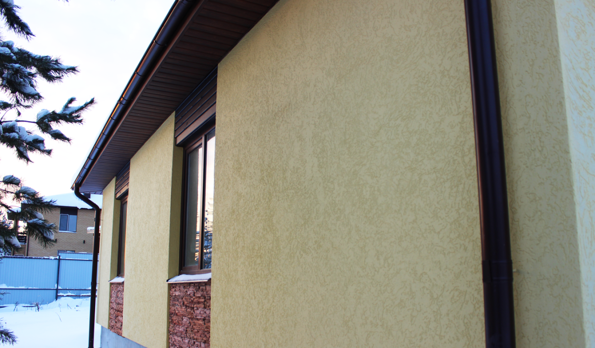 Короед с полосками