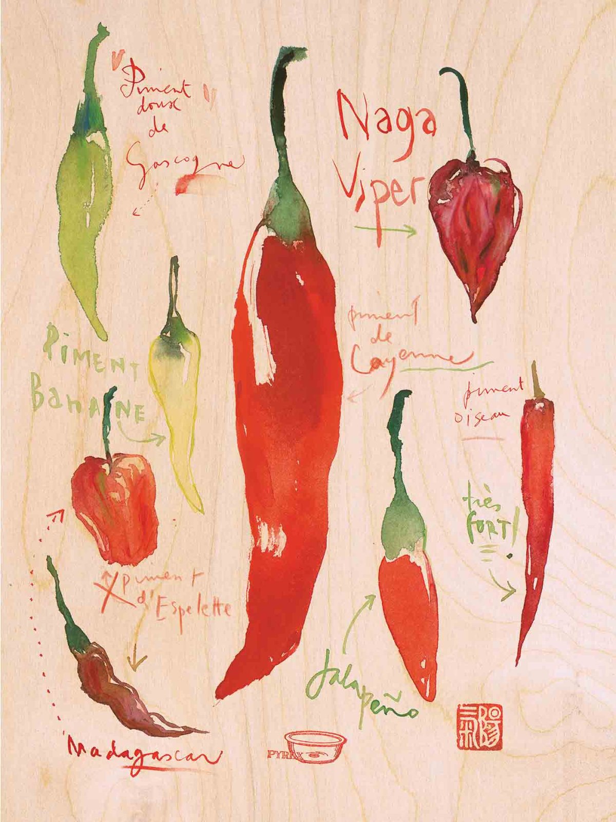 Томат акварель Аэлита