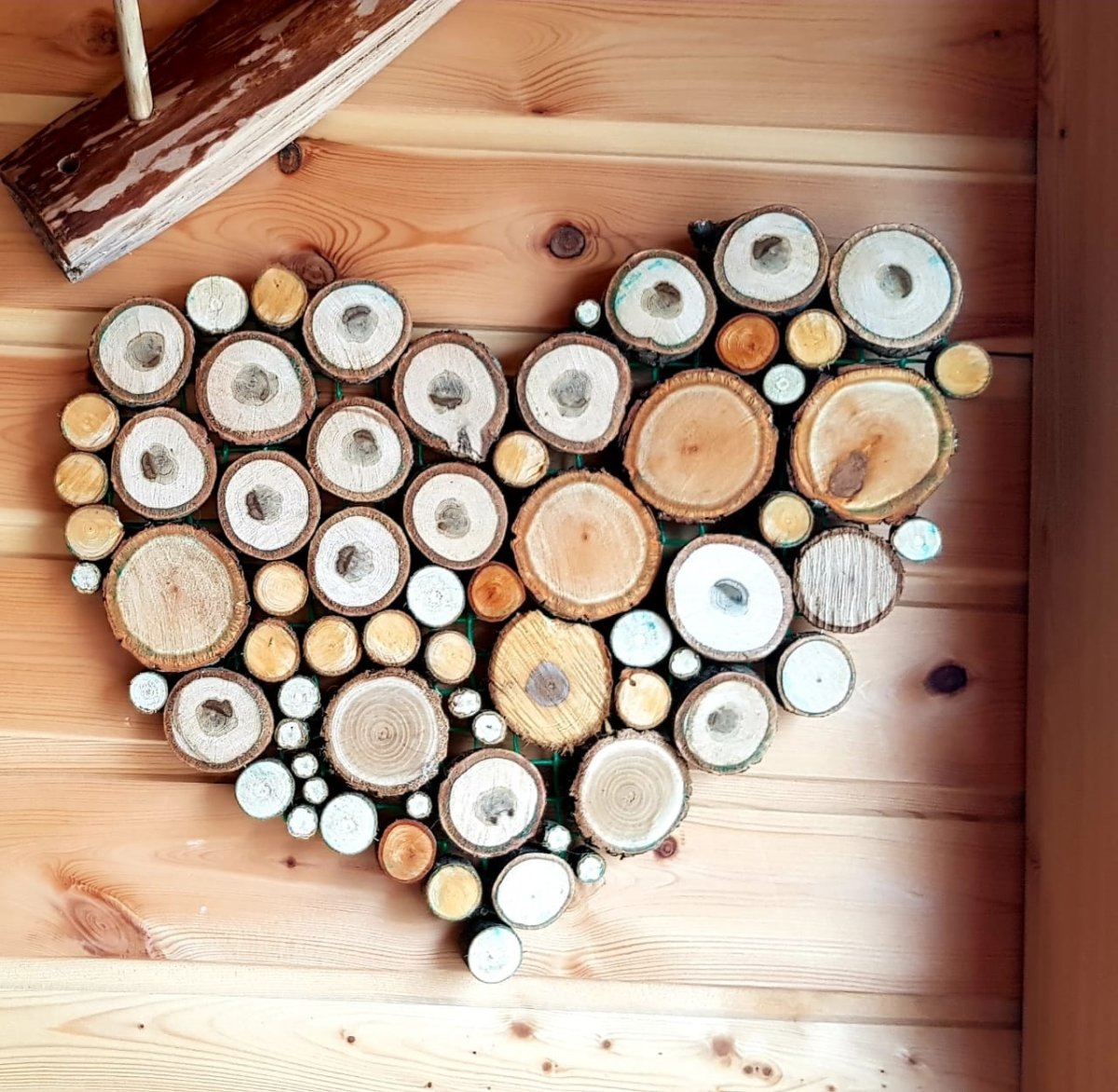 Дерево в интерьере