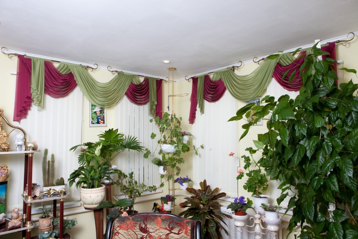 Плиссе зимний сад