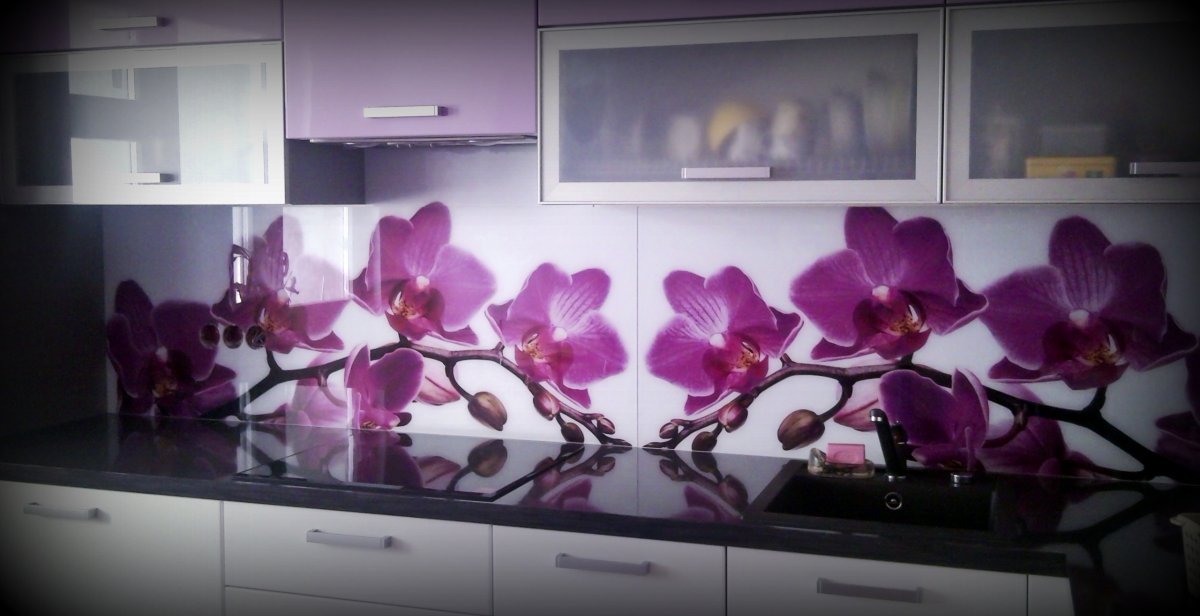 Стеновая панель для кухни Орхидея