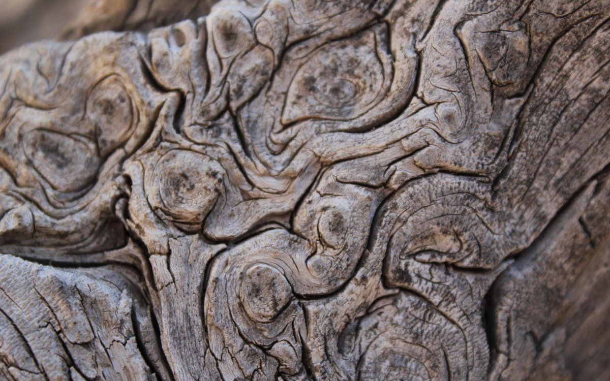 Необычная декоративная штукатурка