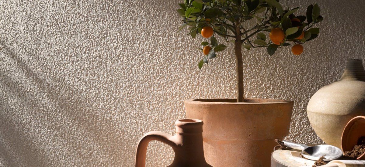 Венецианская штукатурка на кухне