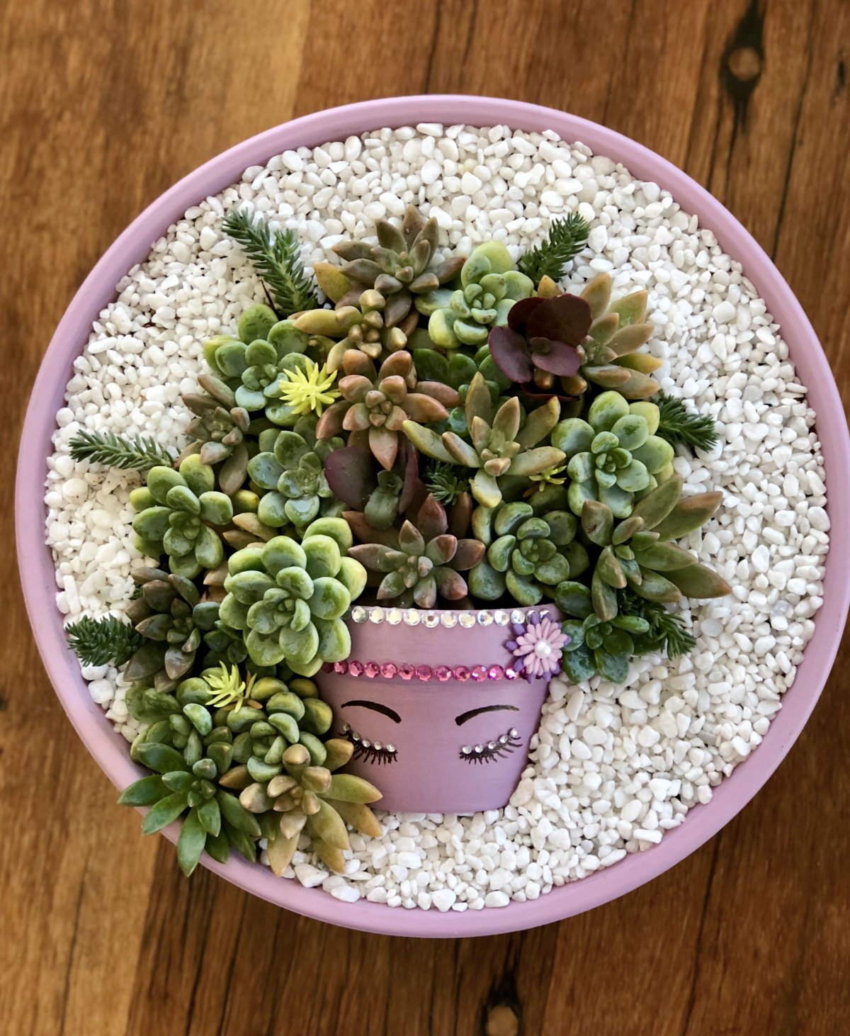 Оригинальные композиции из суккулентов