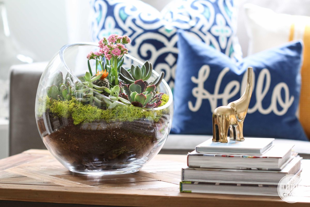 Стильные композиции из суккулентов