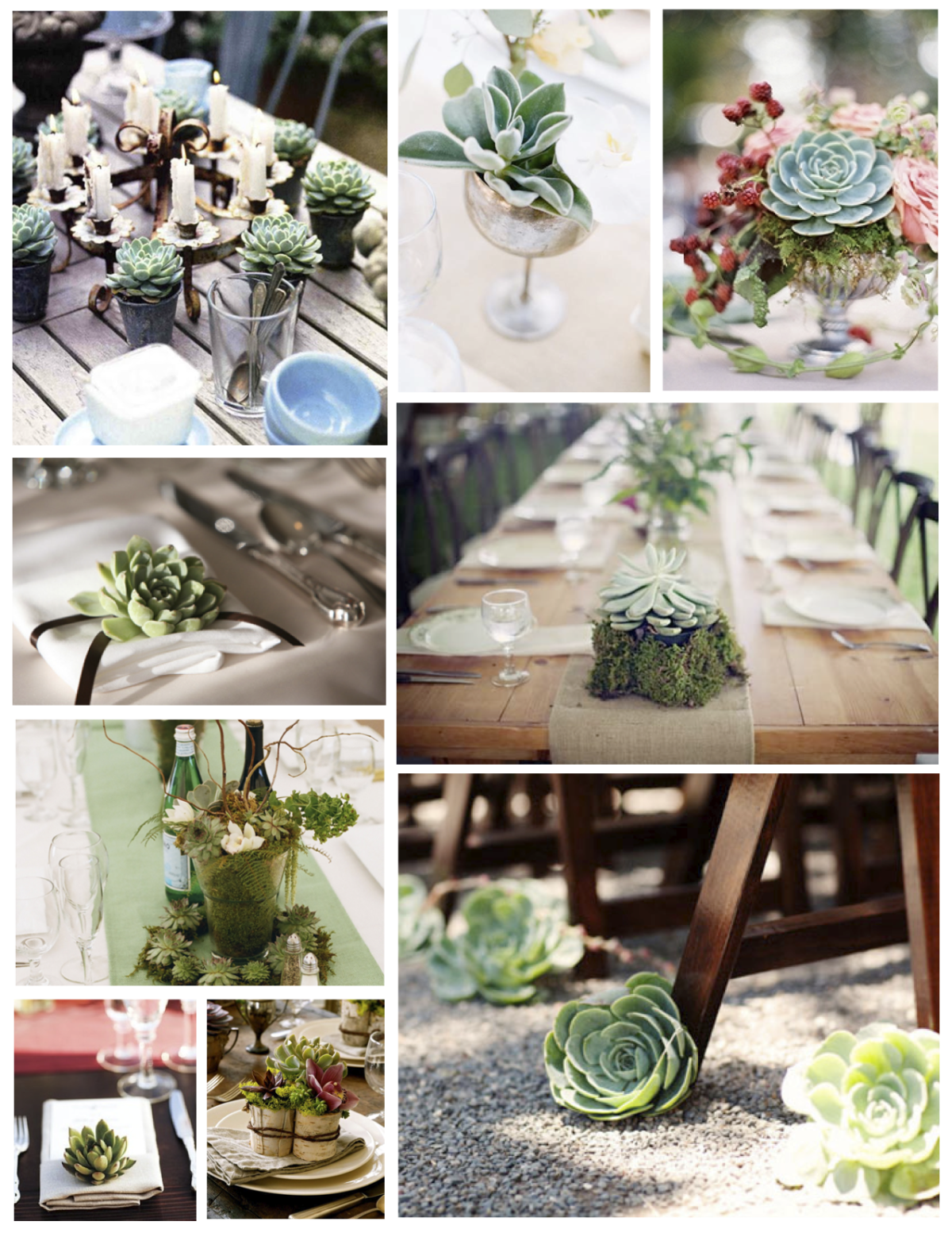 Свадебный зал с суккулентами