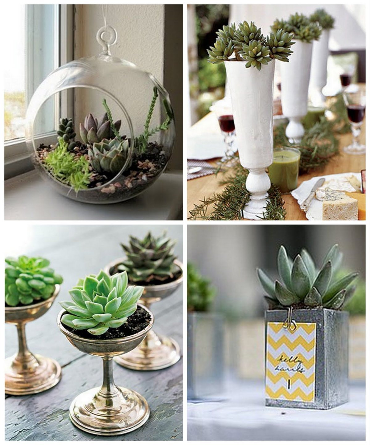 Декор "суккулент"