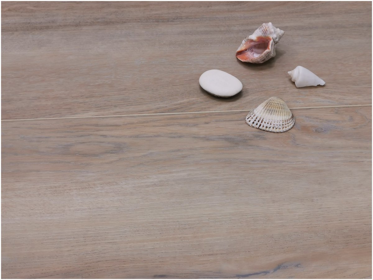 Nox-1951 дуб айон