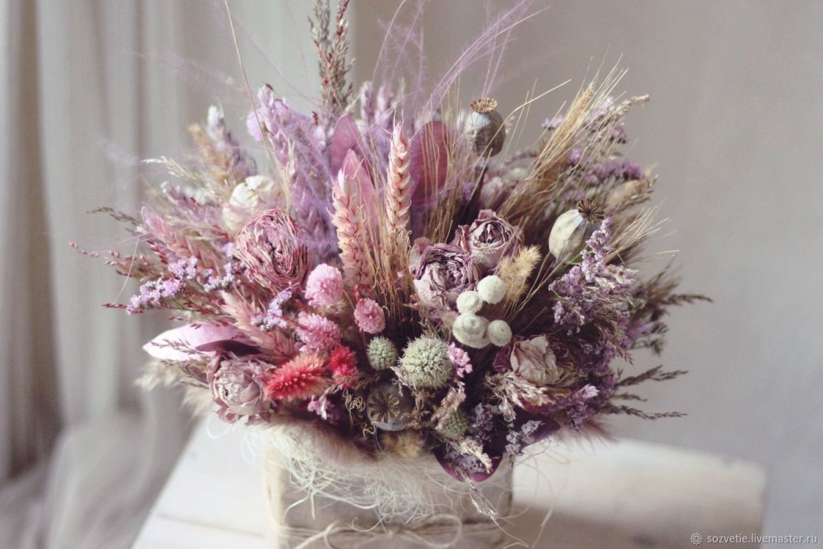 Магнолия сухоцвет