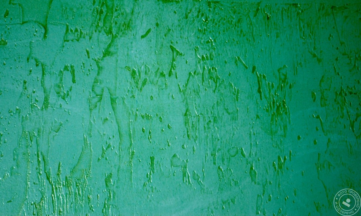 Короед штукатурка