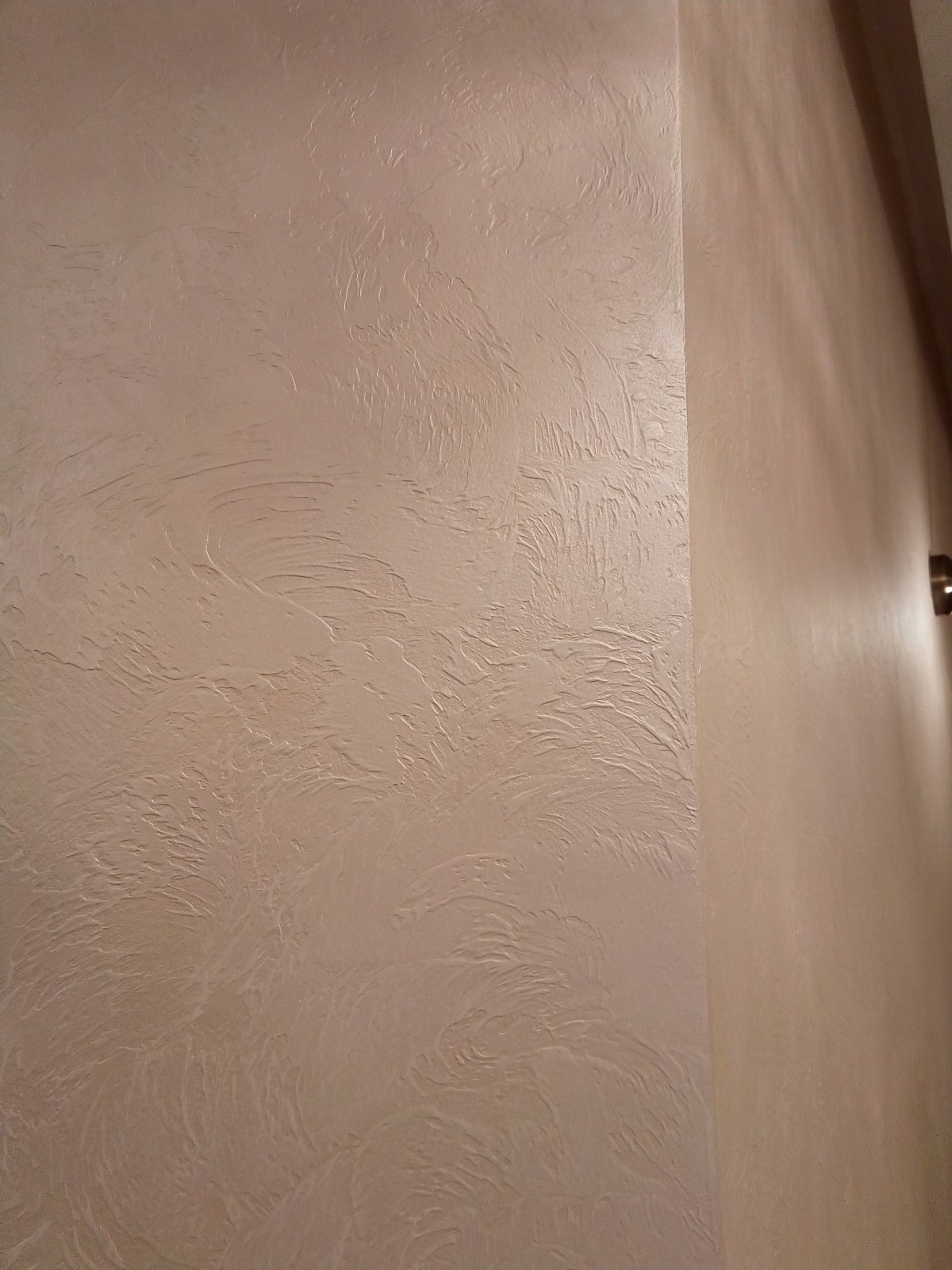 Леонардо венецианка