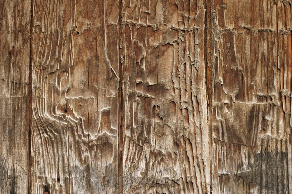 Штукатурка для дерева