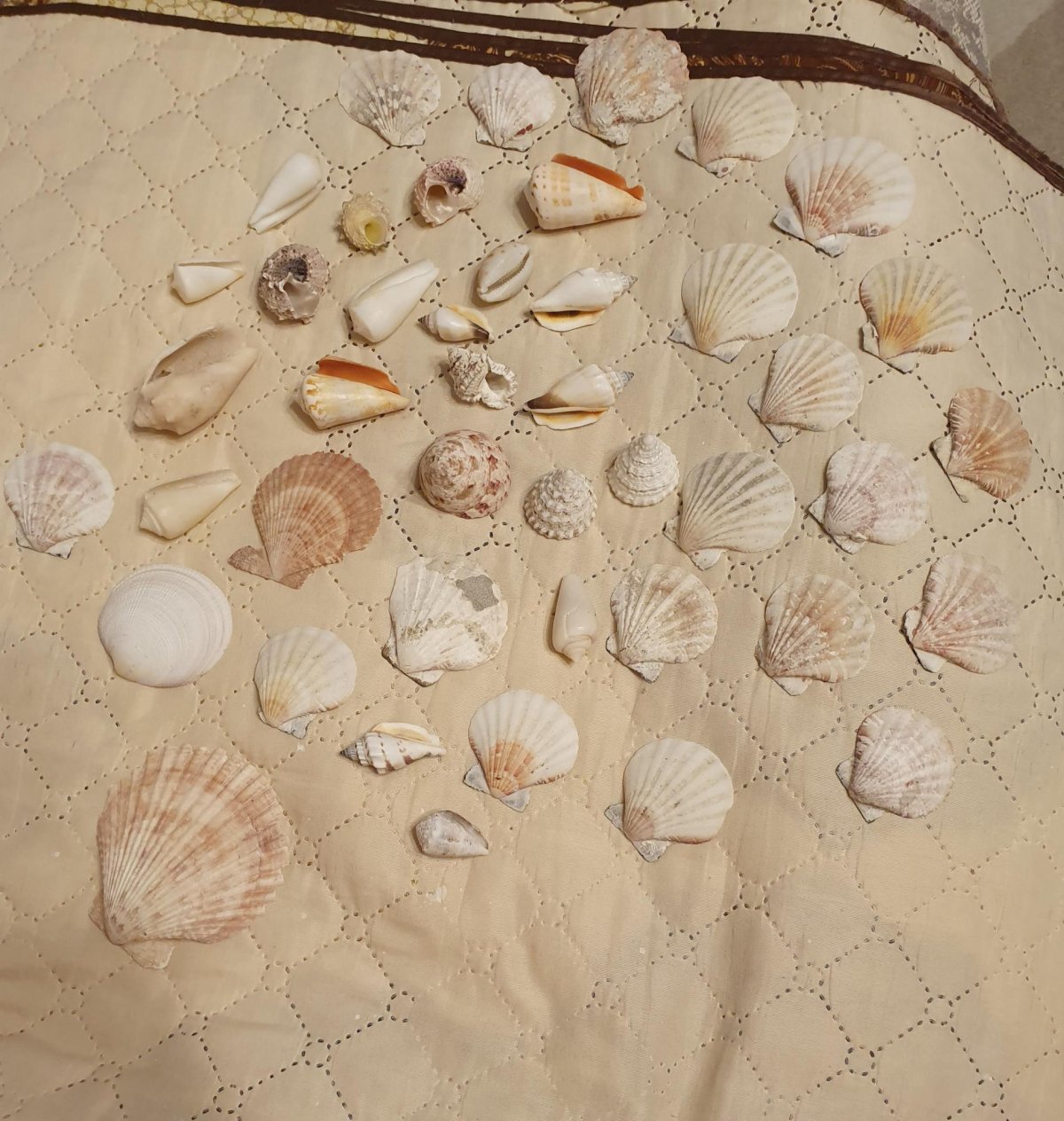 Изделия из морских ракушек