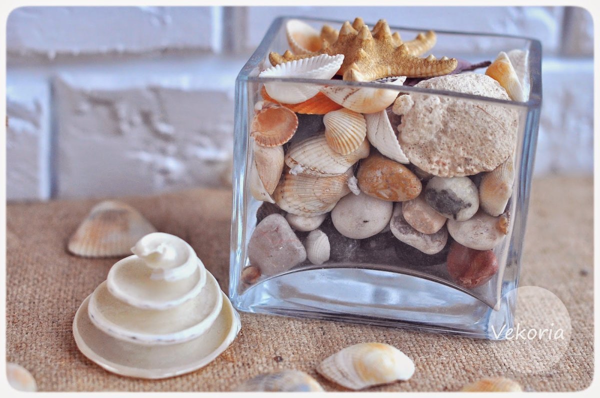 Декор из раковин устриц