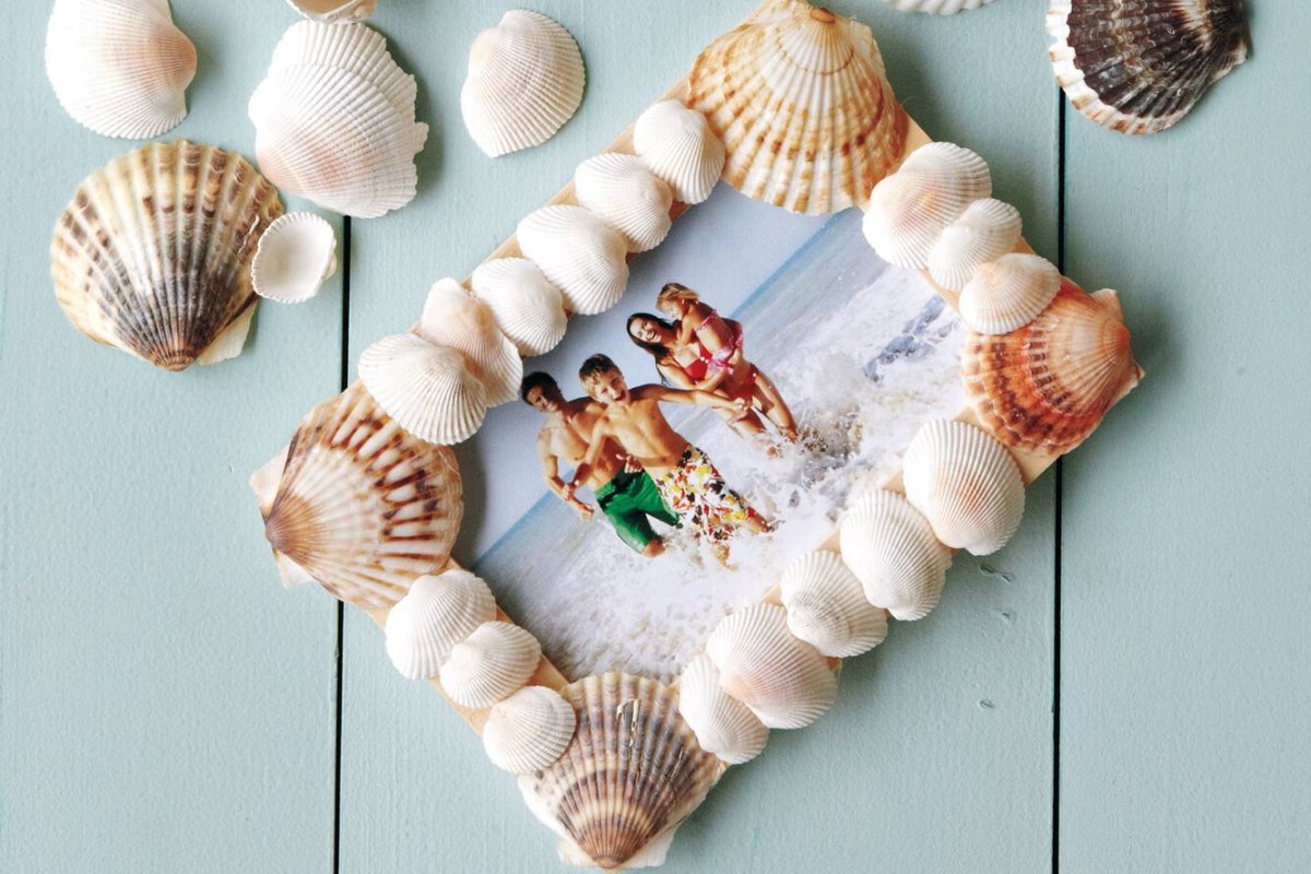 Набор ракушек