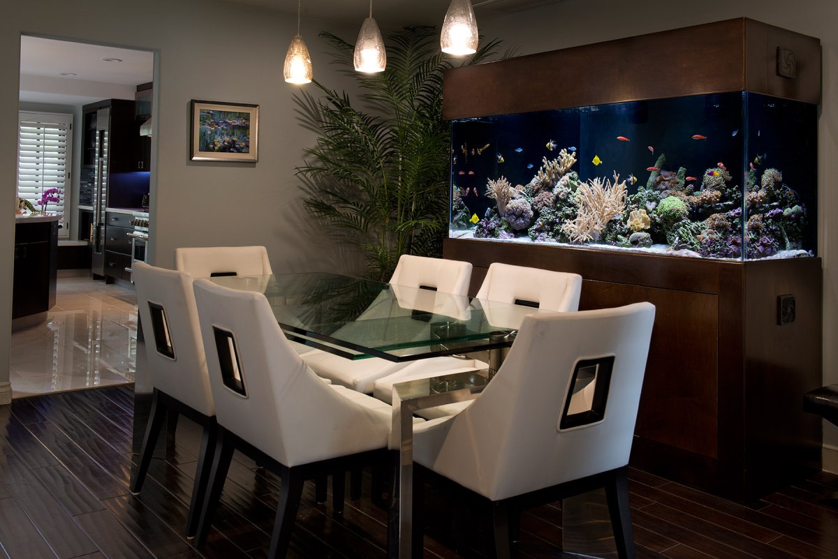 Аквариум встроенный в пол