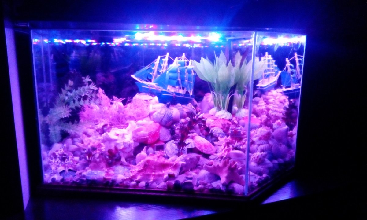 Аквариум в современном интерьере