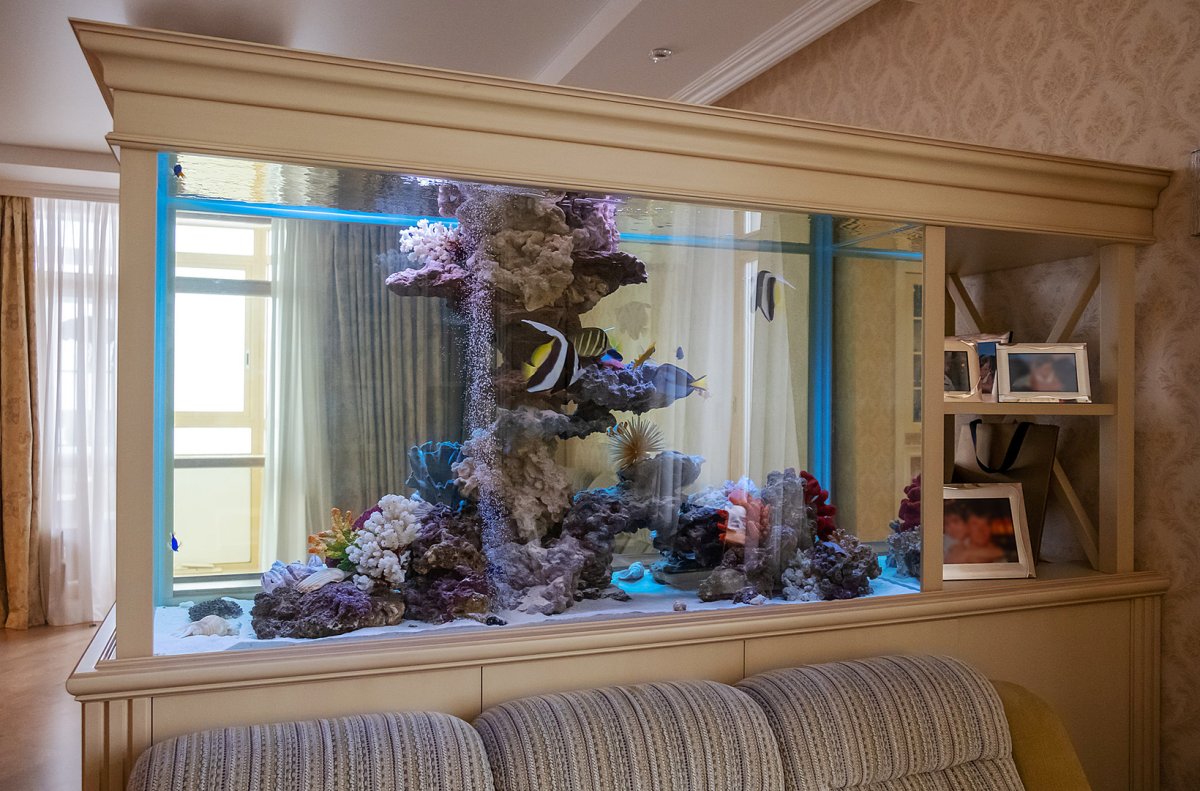 Сухой аквариум