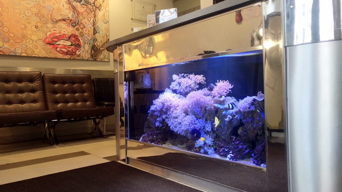 Сухой аквариум в интерьере