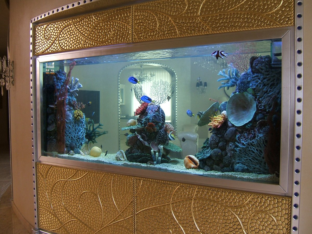 Сухой аквариум