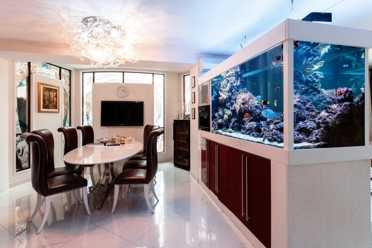 Дизайнерские аквариумы в интерьере
