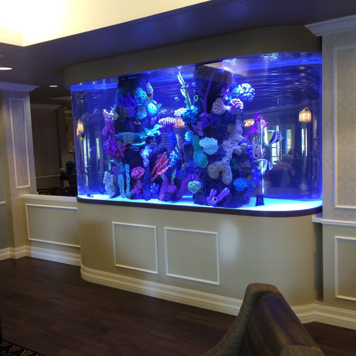 Морской аквариум перегородка