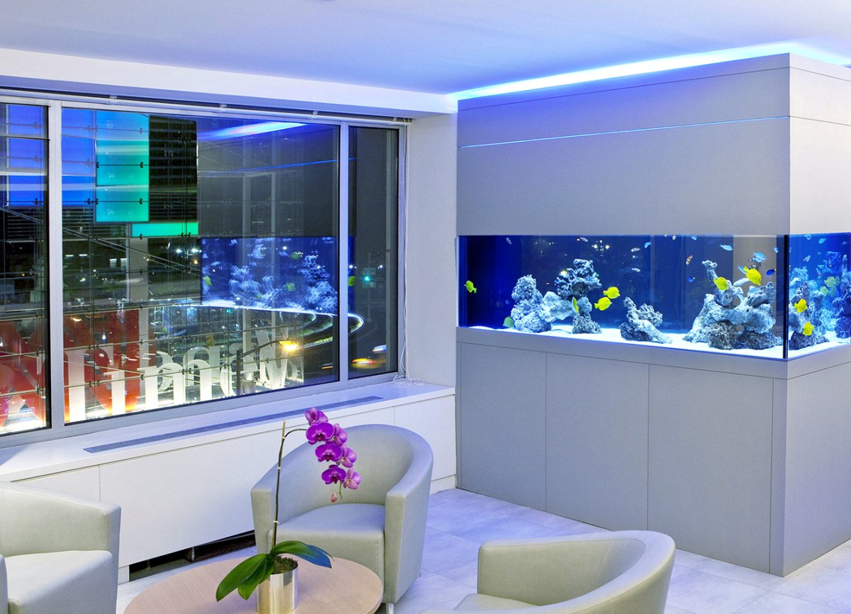 Морской аквариум в интерьере