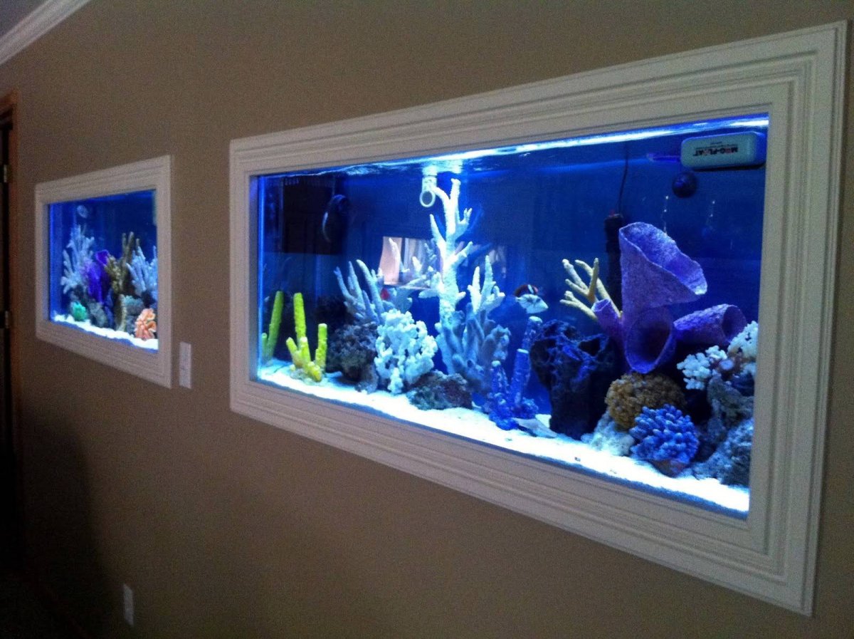 Необычный декор аквариума