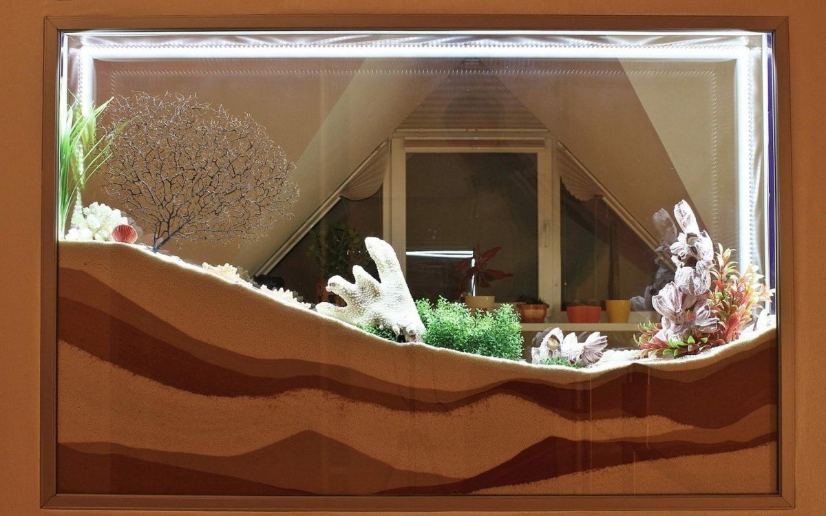 Сухой аквариум